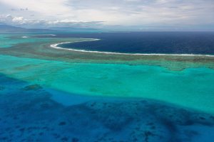 Cómo proteger los arrecifes de coral